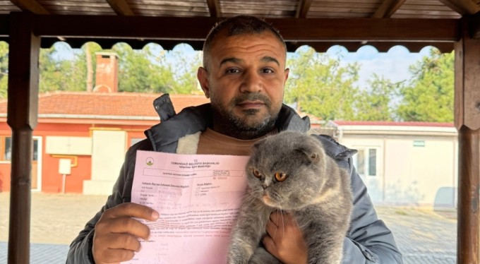 Can dostlar sıcak yuvalara kavuştu