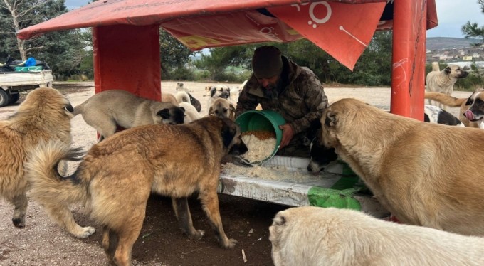 BURTOM SAĞLIK GRUBU İLE SAĞLIKTAN KALBE,KALPTEN DOĞAYA