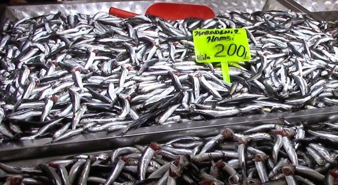 Hamsi yeni yıla ucuzlayarak girdi