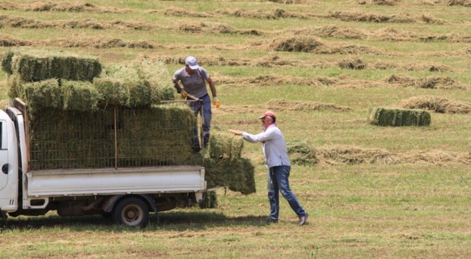 Saman fiyatları bir ay öncesine göre yüzde 10, eylüle göre yüzde 20 arttı