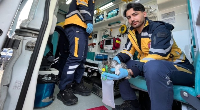 Bursa'da alevlerin arasında kalan yavru kediyi itfaiye kurtardı, oksijenle hayata döndü