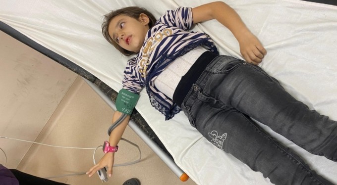 Bursa'da müdür Yardımcısının bahçede beslediği köpekler 9 yaşındaki öğrenciyi ısırdı