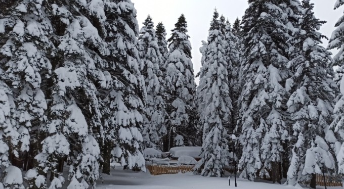 Bursa Uludağ'da kar kalınlığı 1 metreye yaklaştı.