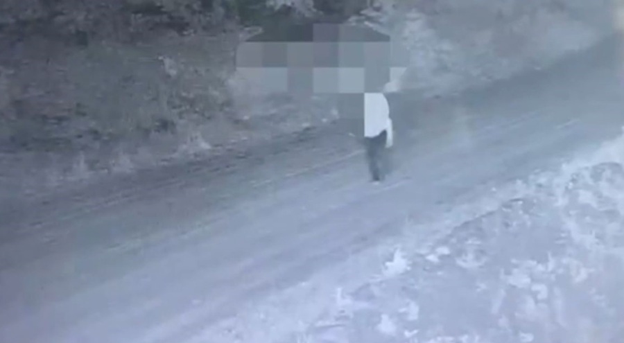 Jandarmanın fotokapanı organize suç örgütünü böyle kaptı