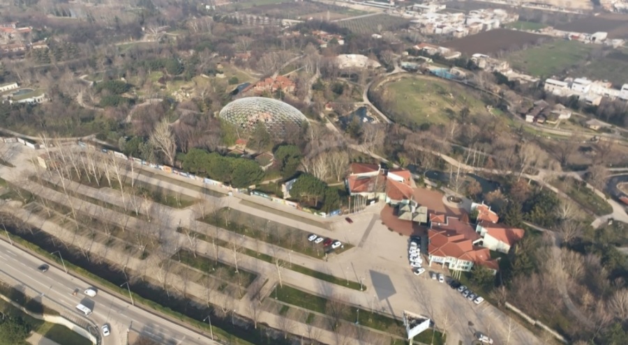 Uykusu kaçan ayılar, 9 kiloluk levrekleri afiyetle midelerine indirdi