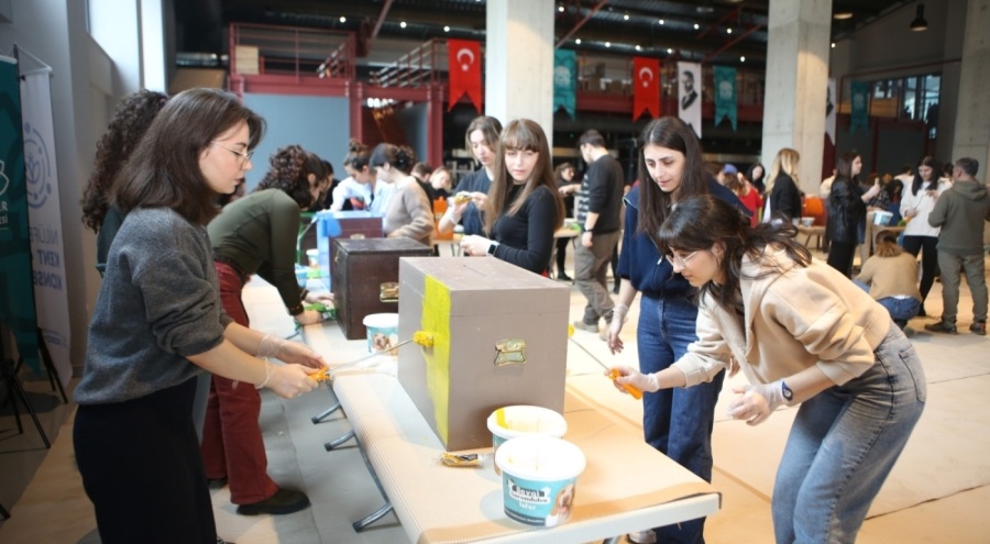 Eski oy sandıkları kedilere yuva oldu