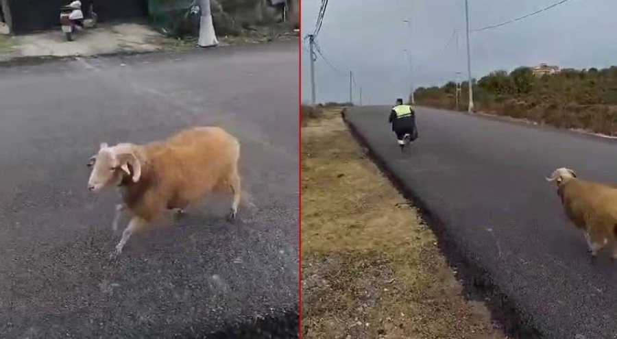 Koç, temizlik işçilerine zor anlar yaşattı