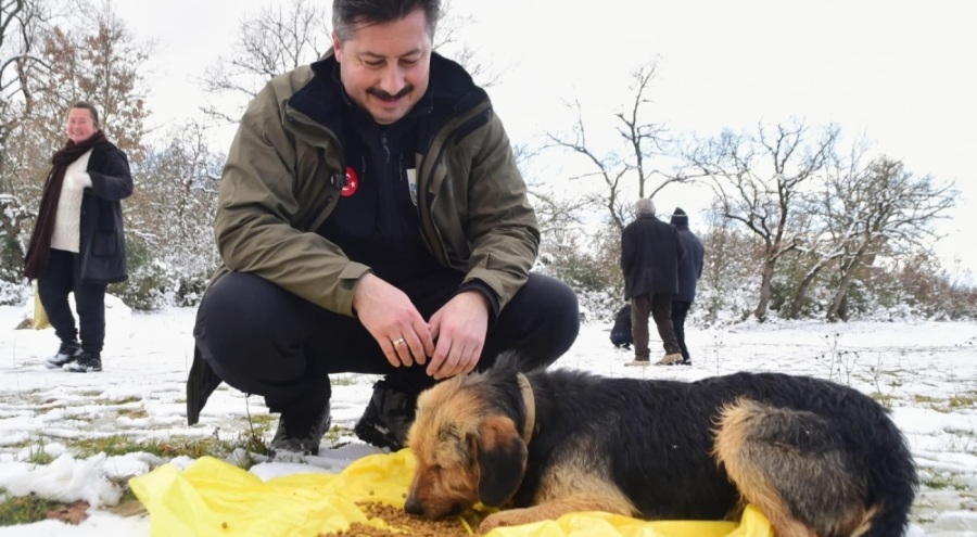 Yenişehir Belediyesi yaban hayvanlar ve kuşlar için beslenme noktaları oluşturdu