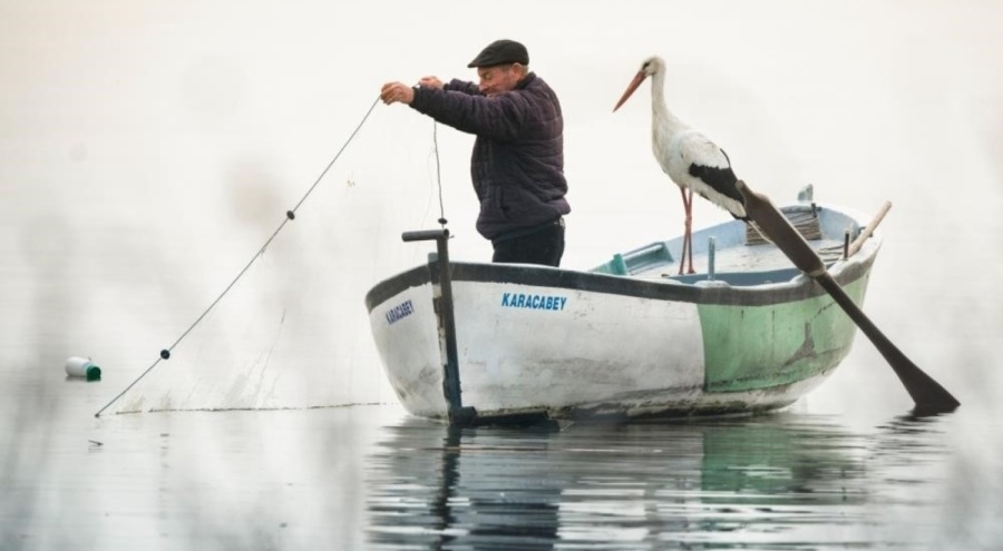 Yaren leylek için gözleri hem ufukta hem yuvada...
