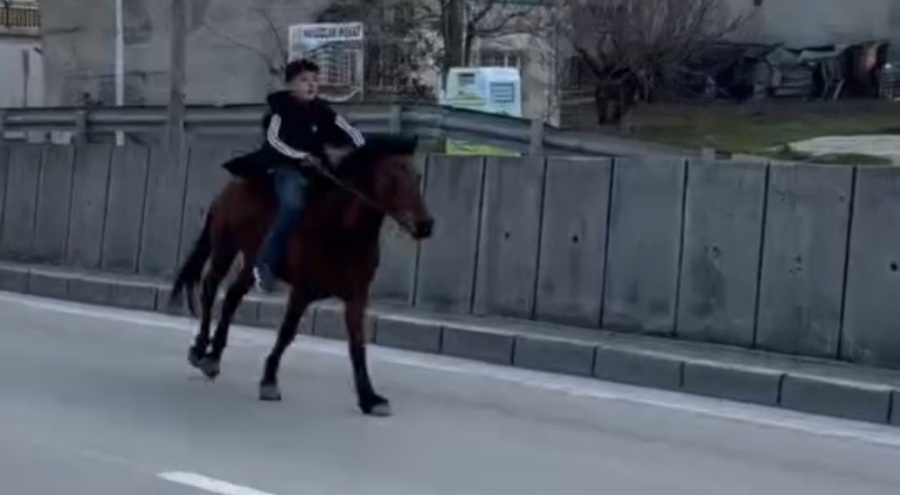 Bursa'da trafiğe atla çıkan genç anayolda dört nala koştu
