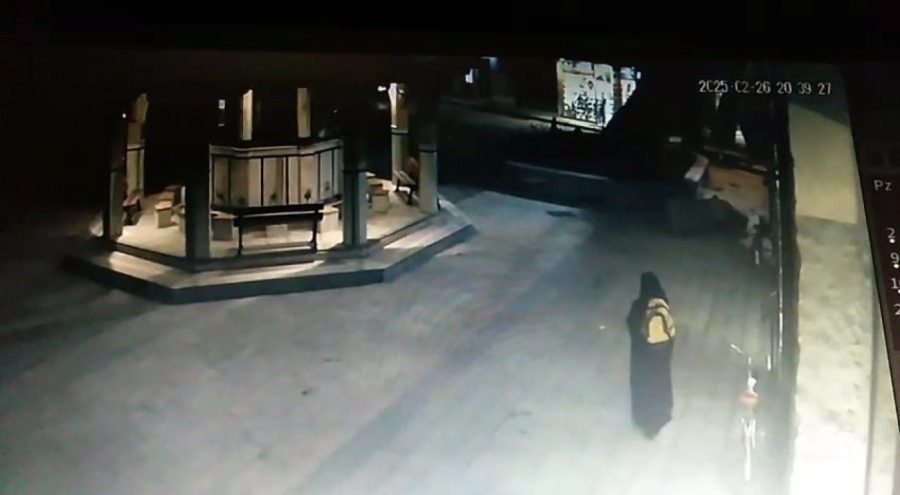 Devrilen çınarın altında kalmaktan son anda kurtuldu