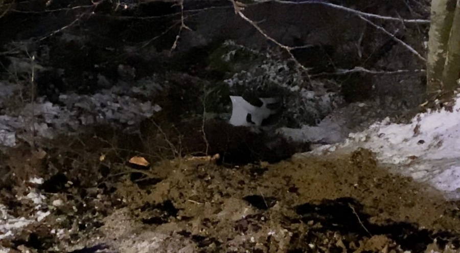 Bursa'da otomobil uçuruma yuvarlandı