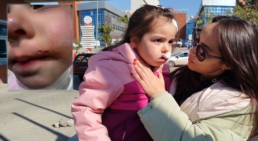 AVM'de sahipsiz köpek dehşeti!