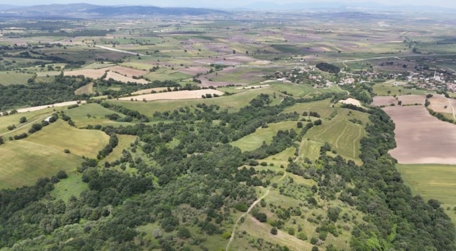 Araziye yatırım yapacaklar dikkat
