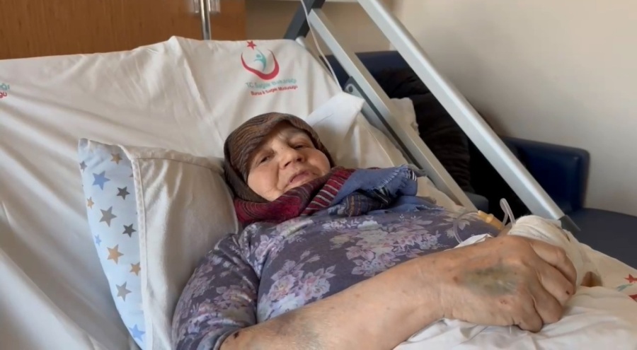 Bursa'da başıboş köpekler 66 yaşındaki kadına saldırdı