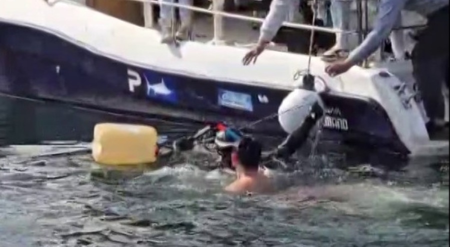 Bursa'da dev orkinos tekneyi salladı