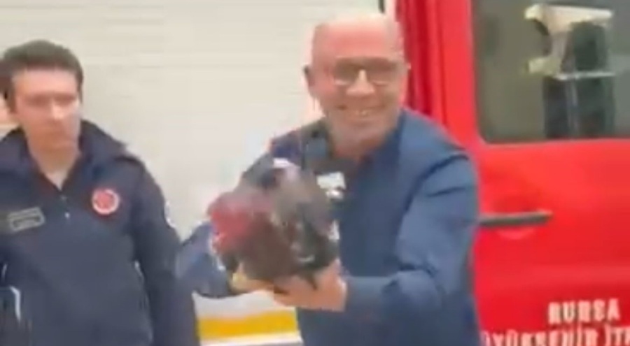 Bursa'da araç motoruna bu kez kedi değil, horoz girdi