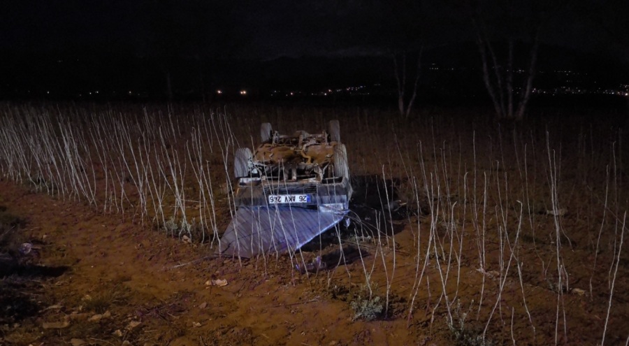 Bursa'da otomobil tarlaya uçtu: 1 yaralı