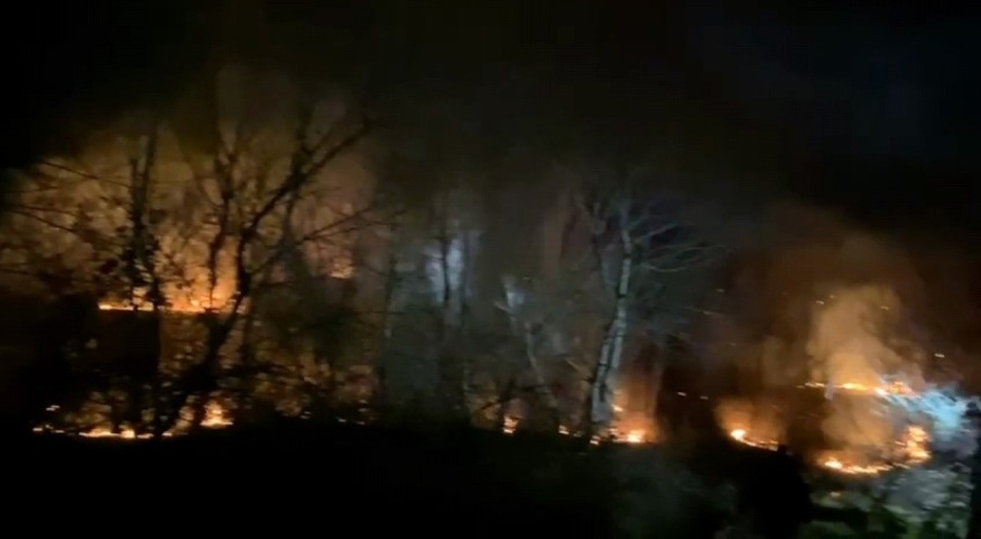 Bursa'da ormanlık alanda yangın