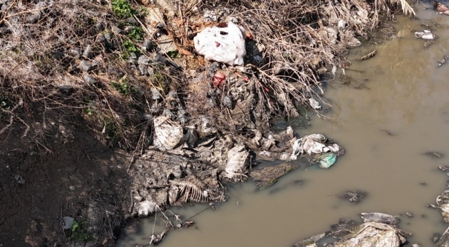 dere yatağı at ve eşek atıklarıyla dolu