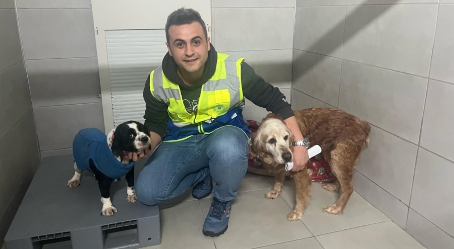 Bursa Büyükşehir, bayramda da can dostların yanında