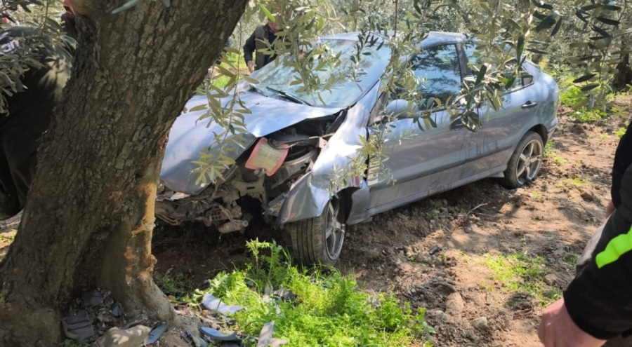 Köpeğe çarpmamak için kaza yaptı