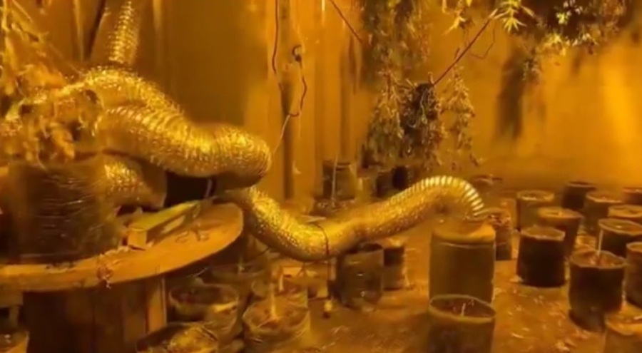 Bursa'da dev operasyon: 24 şüpheli yakalandı, 25 kilo uyuşturucu ele geçirildi