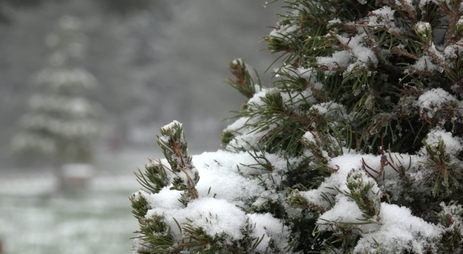 Uludağ'a Nisan Karı Sürprizi: Tatilciler Otellerde Yer Bulmakta Zorlandı