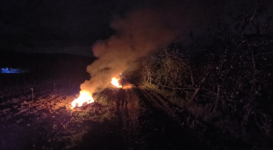Çiftçiler meyvelerini korumak için tarlalarını ateşe verdi