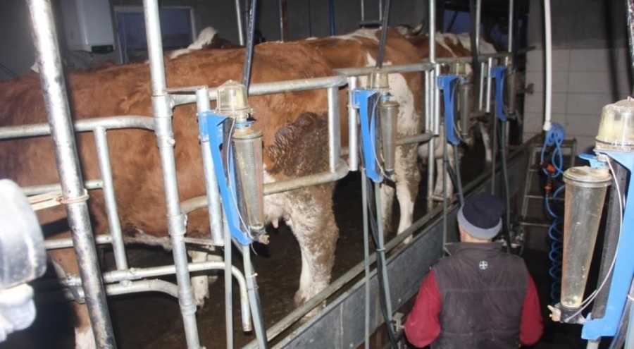 Ticari süt işletmelerince 857 bin 821 ton inek sütü toplandı