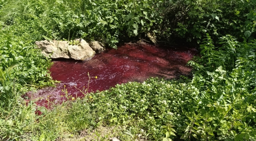 Bursa'da bu dere 'kan' ağlıyor