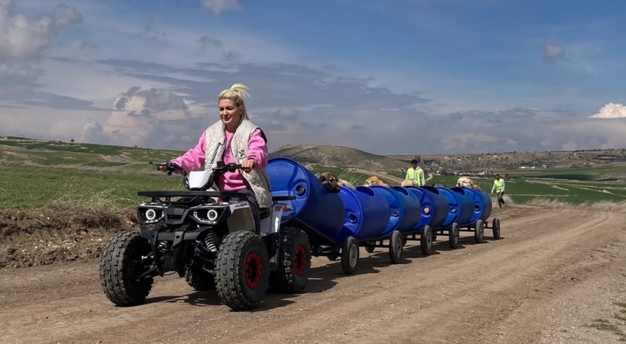Yaşama Tutunan Patiler Derneği Başkanı Özgünlü hakkında 12 yıl 3 aya kadar hapis talebi