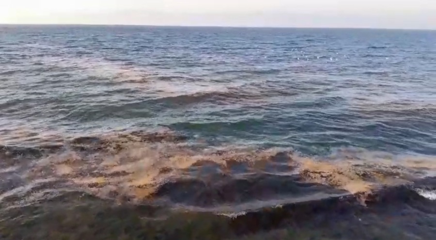 Mudanya sahilinde görülen müsilaj tedirgin etti