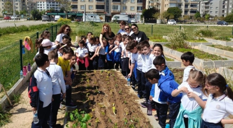 Bursa'da ilkokul öğrencilerinden bitki ekme ve yetiştirme etkinliği