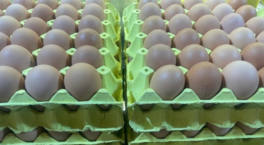 Yumurta fiyatları "mayıs çukuru" yaklaşınca düşüşe geçti