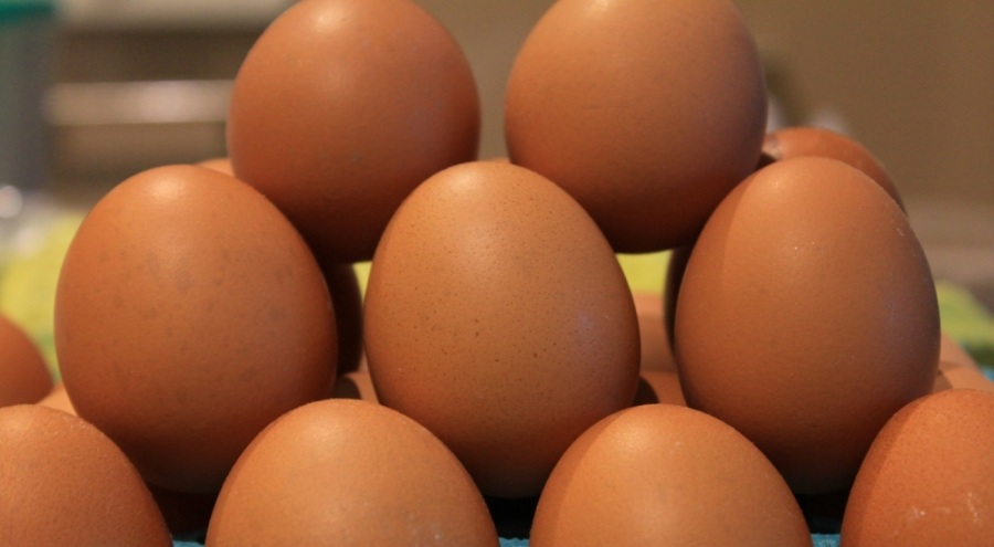 Yumurtada fiyatlar düşünce ihracatta fon kesintisinin kaldırılması istendi