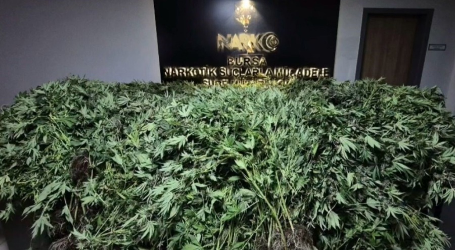 Bursa'da Zehir tacirlerine yapılan baskında 34 şüpheli tutuklandı