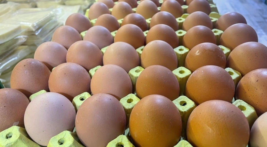 Yumurta kabuğu deyip geçmeyin sanayide çok değerli