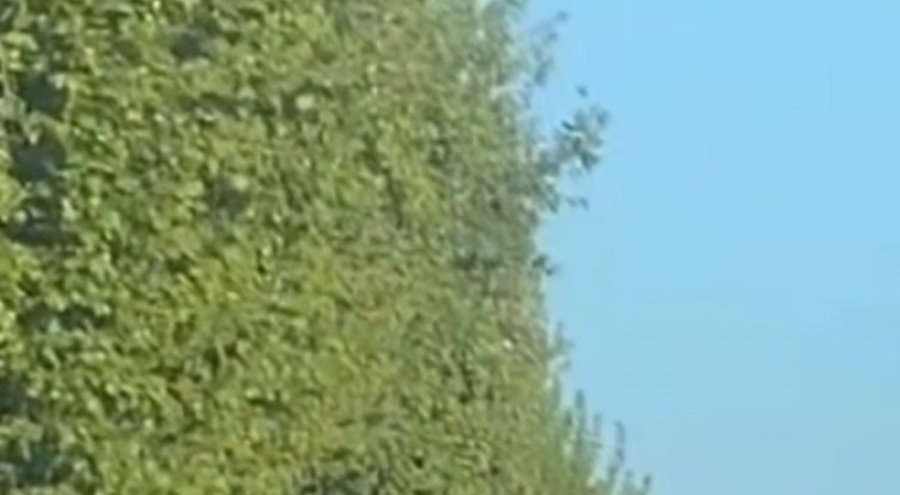 Bursa trafiğinde tehlikeli anlar kameralara yansıdı