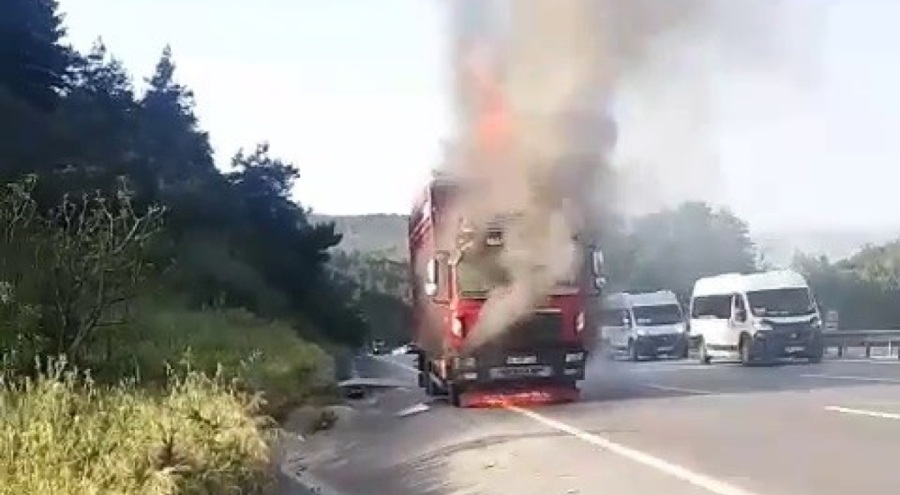 Hayvan yüklü kamyon alevlere teslim oldu