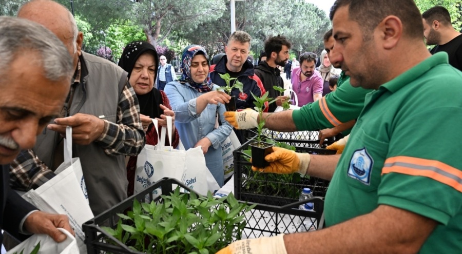 Yıldırım Belediyesi'nden 50 bin fide