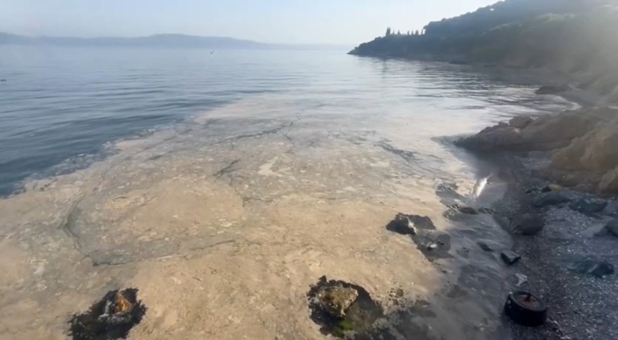 Gemlik'te müsilaj paniği