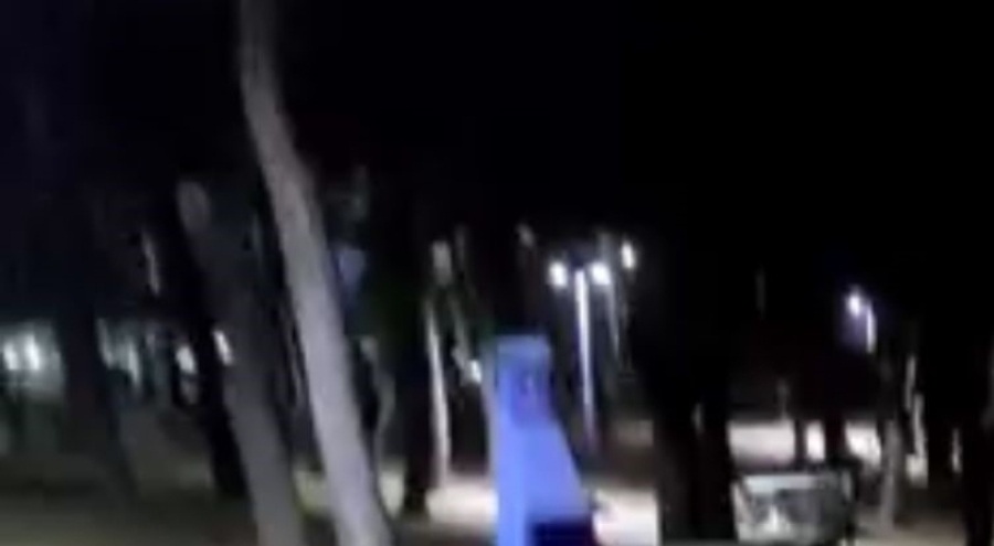 Piknikte karşılaştıkları domuz sürüsü panik oluşturdu