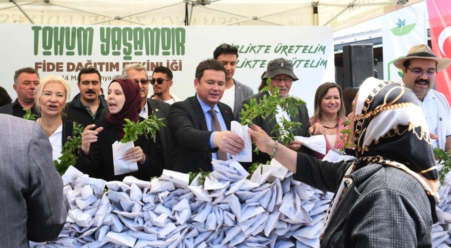 Osmangazi Belediyesi'nden Ücretsiz Fide Dağıtımı