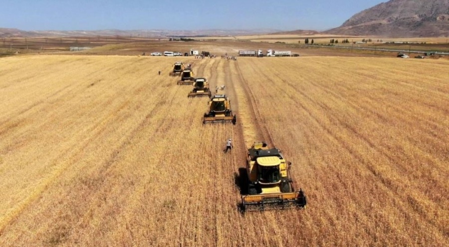 Tarım-GFE yıllık yüzde 29,73 arttı