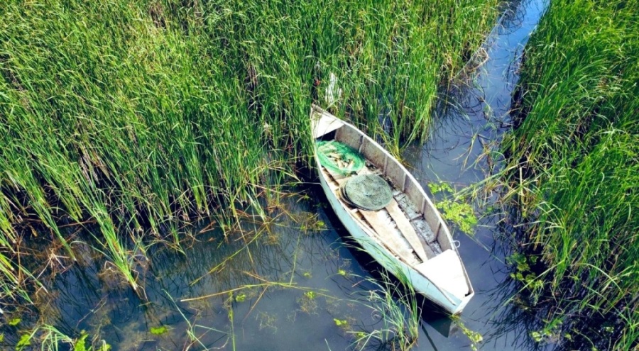 Usulsüz avcılara 67 bin lira ceza