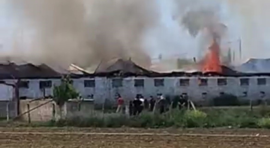 Bursa Yenişehir'de hayvan çiftliğinde büyük yangın