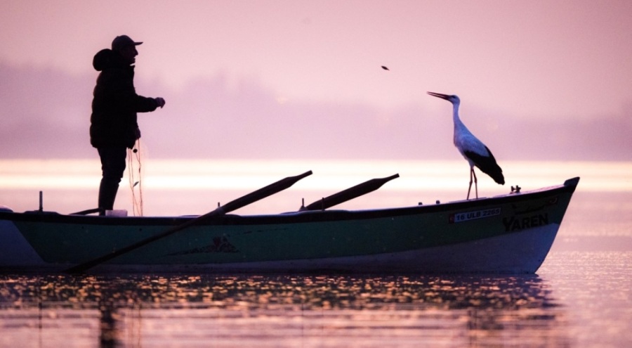 'Uluslararası Bursa Leylek Şenliği' başlıyor