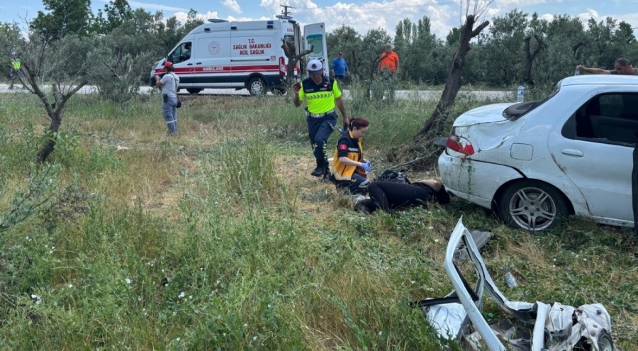 Otomobil zeytinliğe uçtu