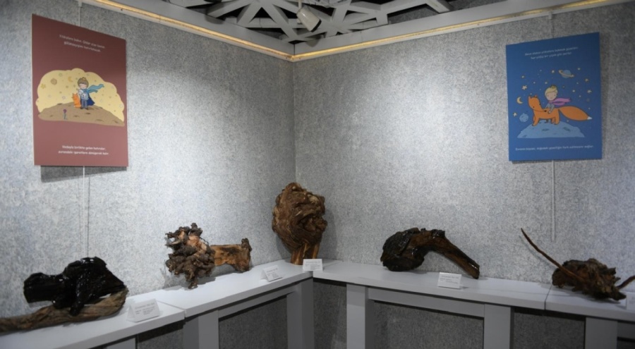 Doğanın Eşsiz Sanatı Osmangazi'de Sergilendi